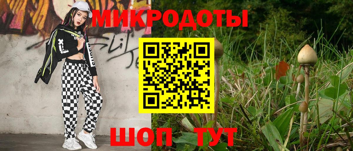 Галлюциногенные грибы Magic Shrooms  Псилоцибиновые грибы Magic Shrooms  купить наркотик  Удомля  Вход с VPN 